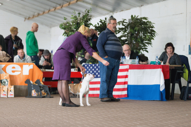 Cs3Q0465 15872171530 O