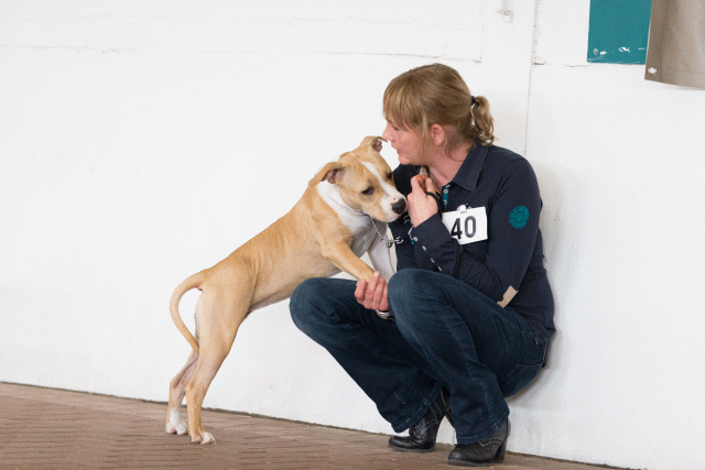 Cs3Q0472 15872001018 O