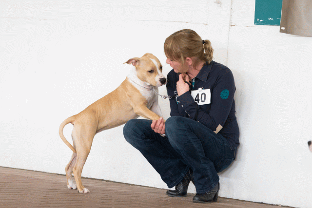 Cs3Q0473 16059459855 O