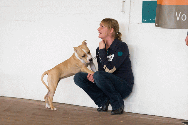 Cs3Q0474 15439791793 O