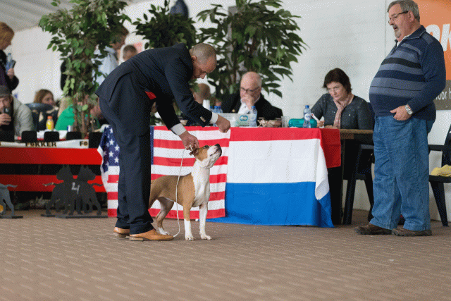 Cs3Q0476 16058748082 O