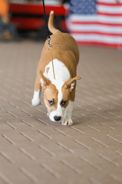 Cs3Q0484 16057492541 O