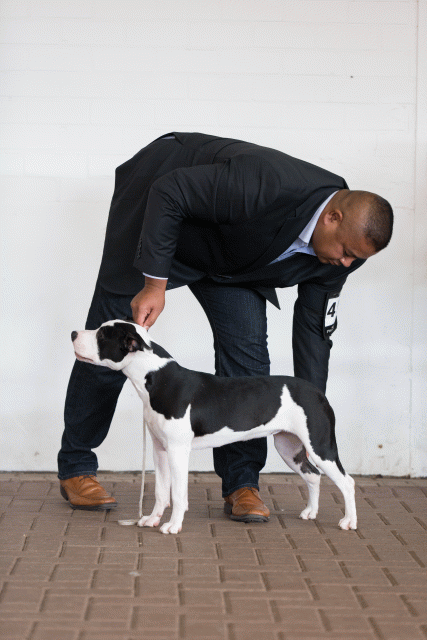 Cs3Q0491 16059455335 O