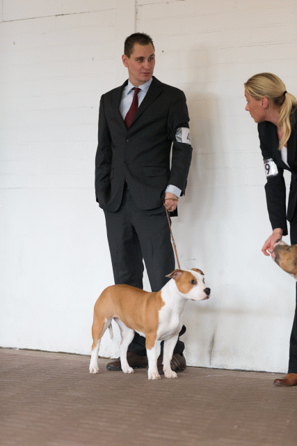 Cs3Q0510 16033661086 O