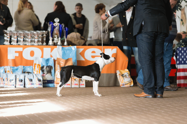 Cs3Q0511 15873368829 O