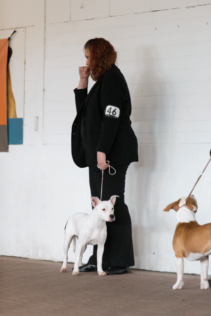 Cs3Q0512 15873671807 O