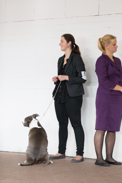 Cs3Q0522 16033655726 O