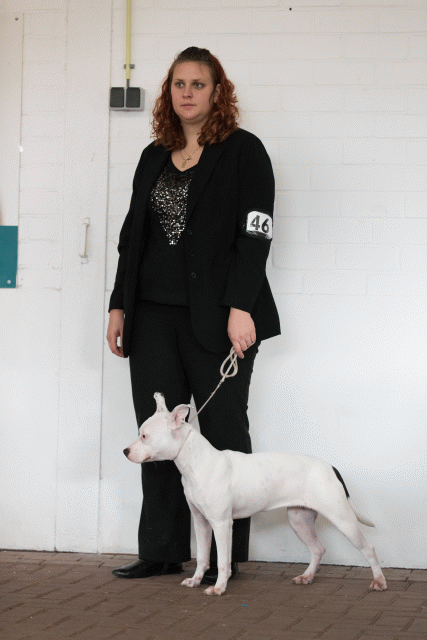 Cs3Q0532 15872151030 O