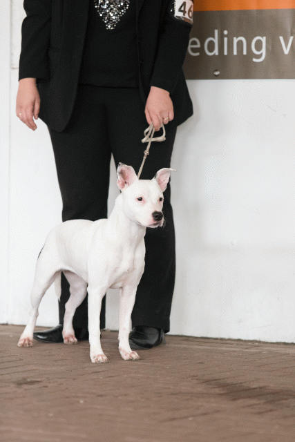 Cs3Q0542 15873360209 O