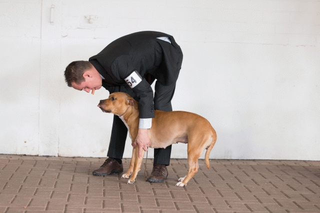 Cs3Q0558 15439768523 O