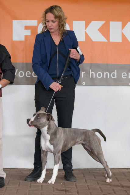 Cs3Q0562 16057470031 O