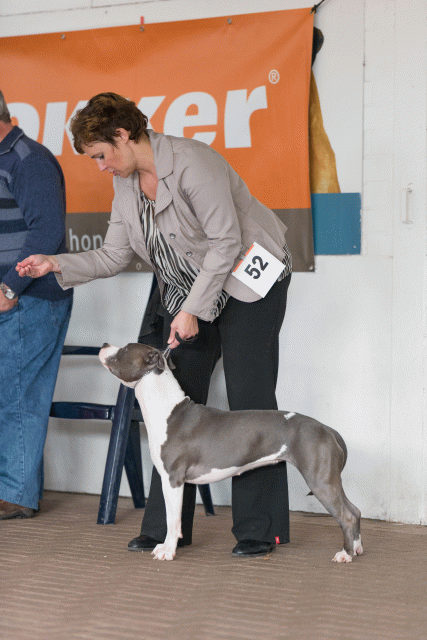 Cs3Q0563 15871974838 O