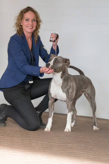 Cs3Q0582 16058719992 O