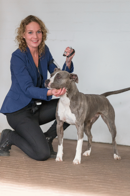 Cs3Q0583 15439761613 O