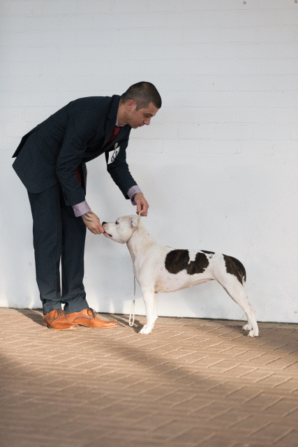 Cs3Q0632 15439756363 O