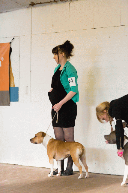 Cs3Q0636 15873344979 O