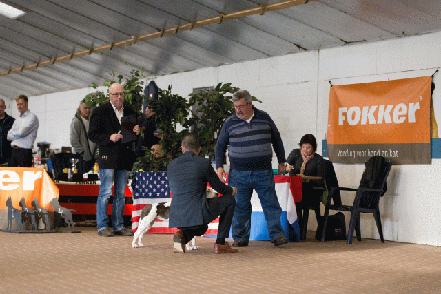 Cs3Q0637 15439754803 O