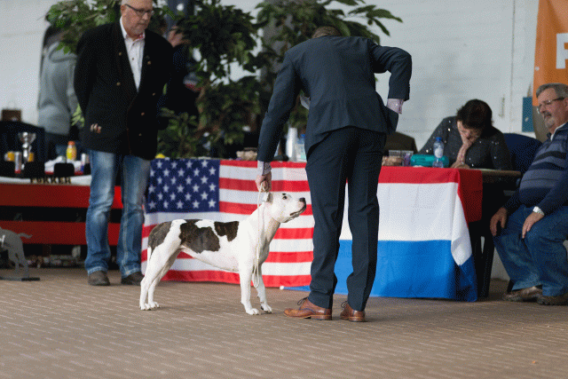 Cs3Q0641 16033634436 O