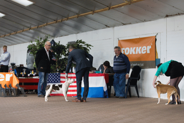 Cs3Q0643 15871962928 O