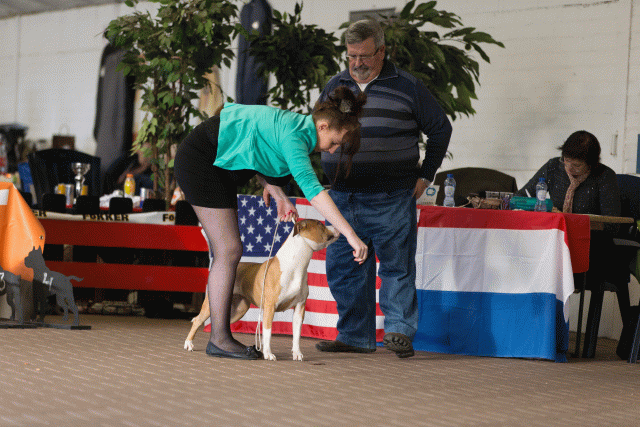 Cs3Q0646 15873645517 O