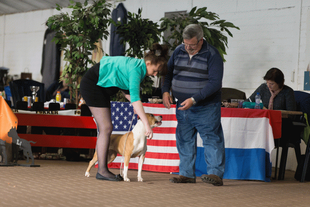 Cs3Q0647 15871961348 O