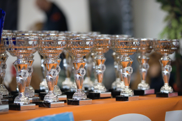 Cs3Q0029 16057638621 O