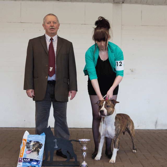 3Y3A9589Open Klasse  Reu 1   Catno 12 16059613705 O