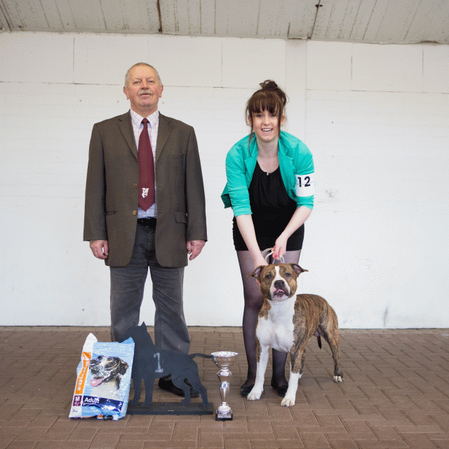 3Y3A9592Open Klasse  Reu 1   Catno 12 15872322560 O