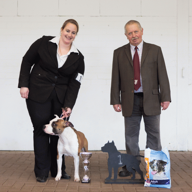 3Y3A9593Tussen Klasse  Reu 1   Catno 19 15873835827 O