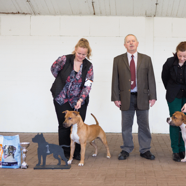 3Y3A9607Jeugd Klasse  Reu 1   Catno 23 15873835357 O