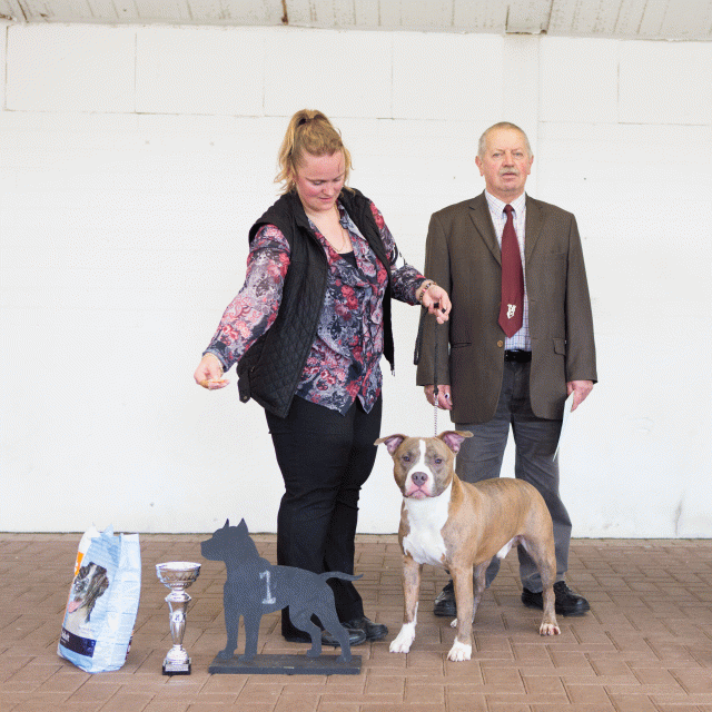 3Y3A9617Fokkers Klasse  Reu 1   Catno 28 16058902782 O