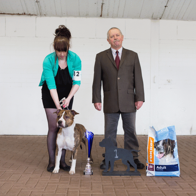 3Y3A9637Beste Reu    Catno 12 16058901322 O