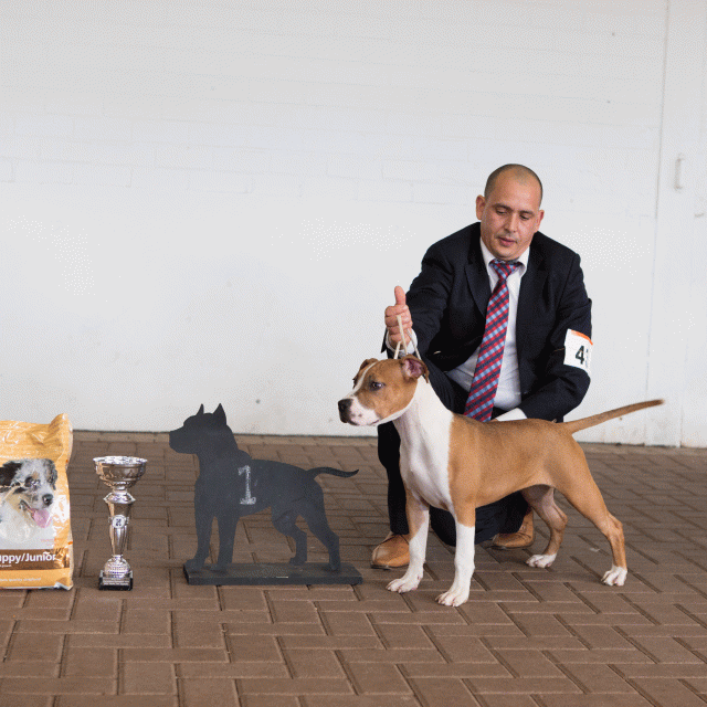 3Y3A9654Baby Teef 1   Catno 43 15873832957 O