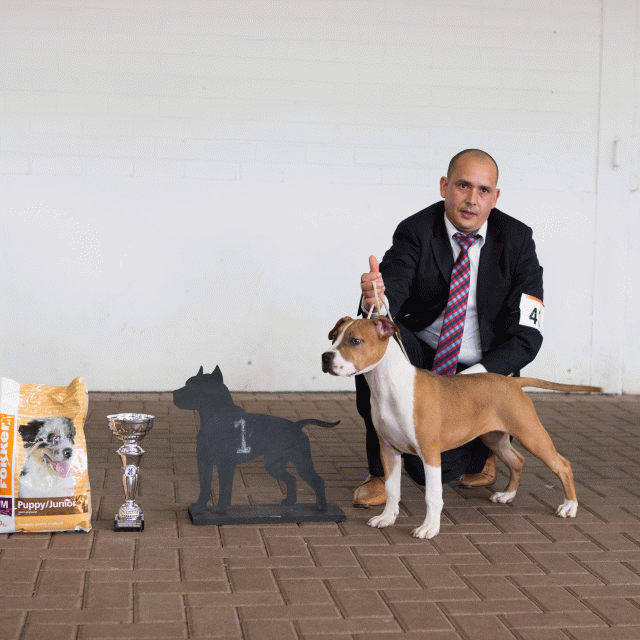 3Y3A9655Baby Teef 1   Catno 43 16033823156 O