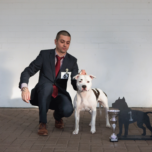 3Y3A9695Tussen Klasse  Teef 1   Catno 63 15873529649 O