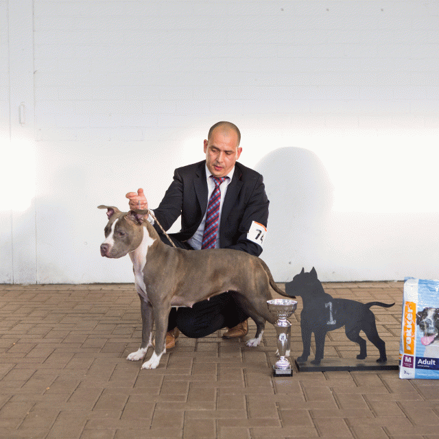 3Y3A9712Jeugd Klasse  Teef 1   Catno 74 15437303934 O