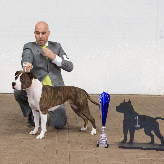 3Y3A9758Beste Teef   Catno 55 15872147728 O