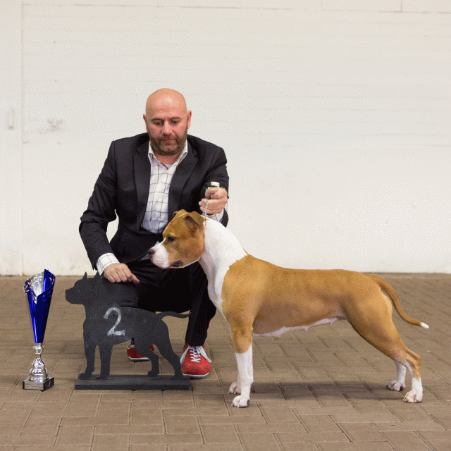 3Y3A9765Res Beste Teef   Catno 80 15872147168 O