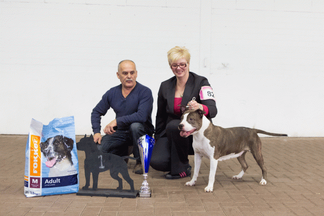 3Y3A9771Res Beste Veteraan   Catno 82 16033818436 O