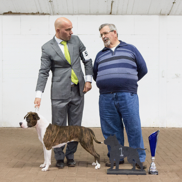 3Y3A9784Res Beste Teef   Catno 55 16058895412 O