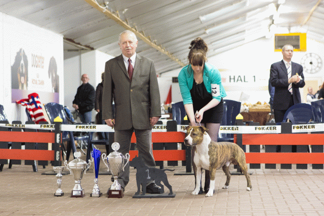 3Y3A9795Best In Show   Catno 12 16058894872 O