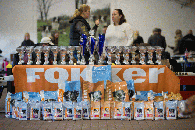 Cs3Q0027 15439935923 O