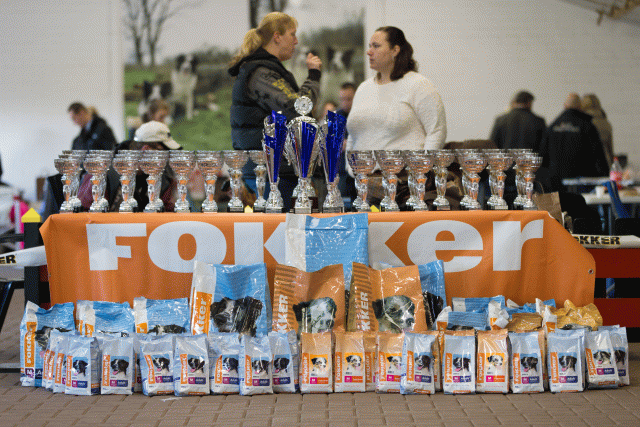 Cs3Q0026 16058894202 O