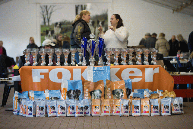 Cs3Q0028 15437298714 O