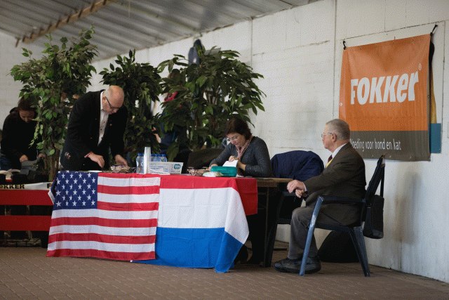 Cs3Q0033 15872141858 O