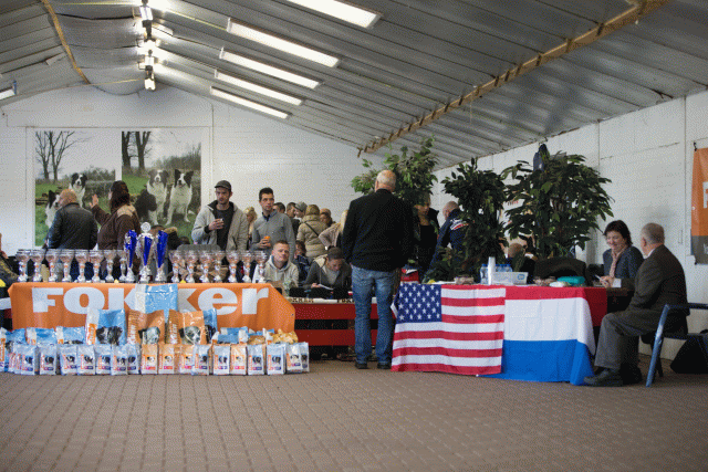 Cs3Q0034 15439932693 O