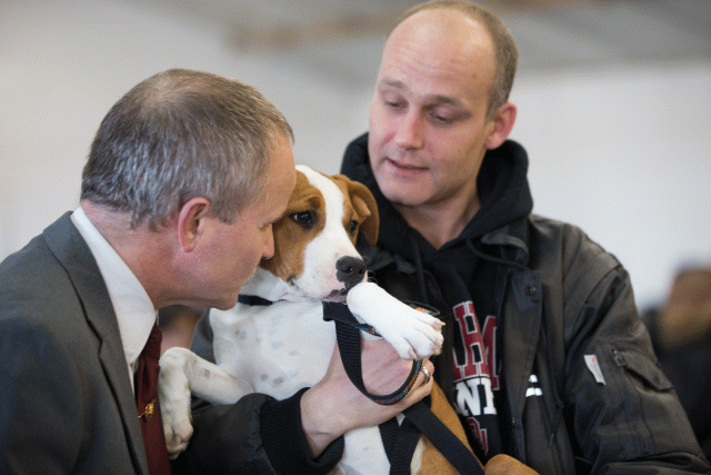 Cs3Q0038 15873519979 O