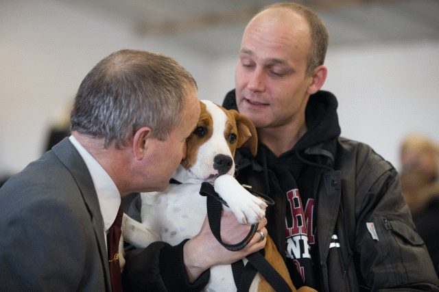 Cs3Q0039 15437294024 O