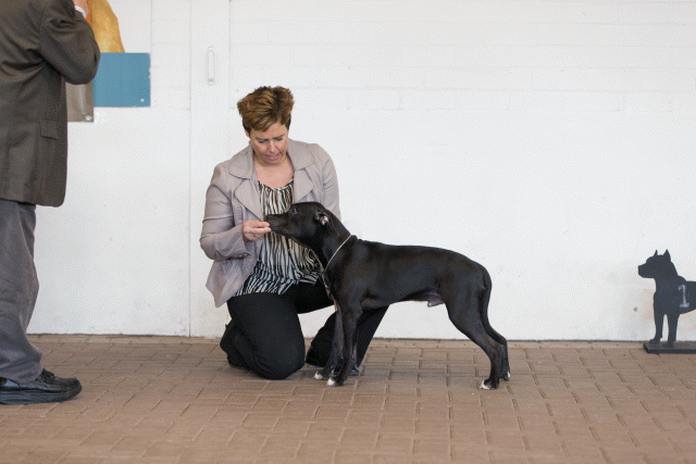 Cs3Q0040 15872306490 O