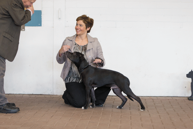 Cs3Q0041 16033809676 O